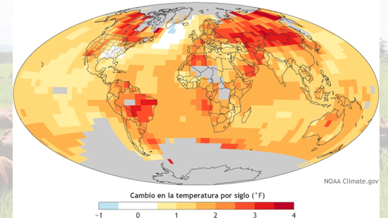 Cambio Climático Desafío para la Ganadería